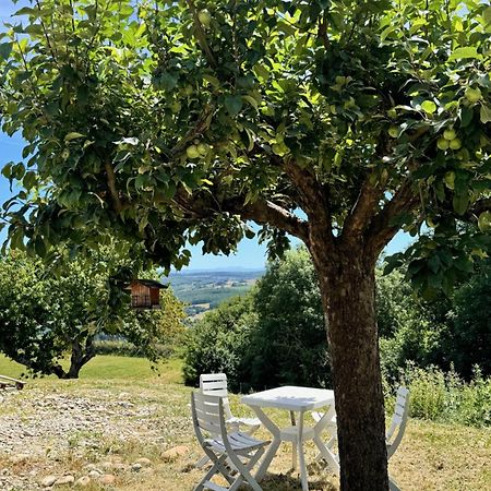 Gite Chez Polo Villa Chateauneuf-de-Galaure ภายนอก รูปภาพ