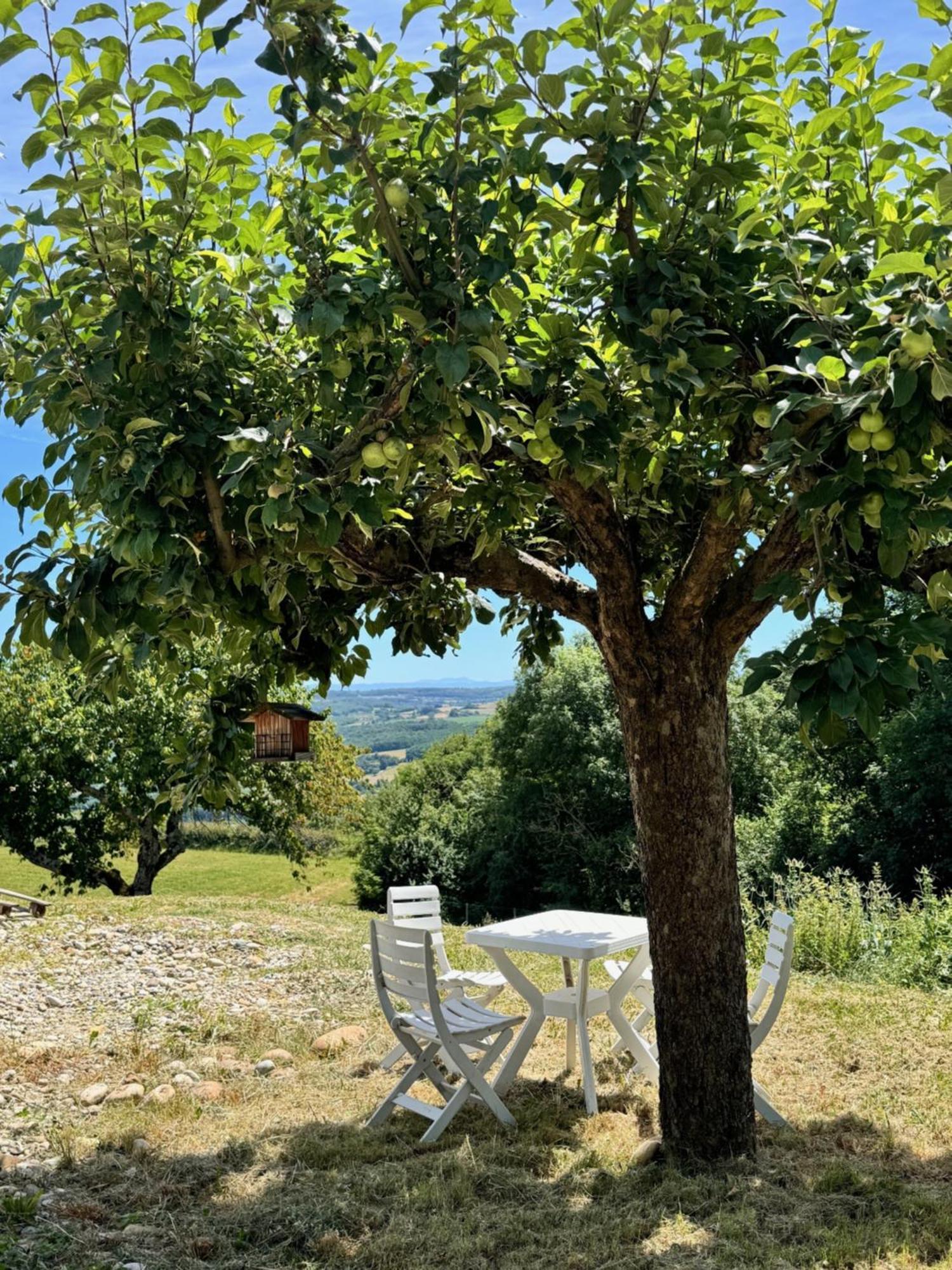 Gite Chez Polo Villa Chateauneuf-de-Galaure ภายนอก รูปภาพ
